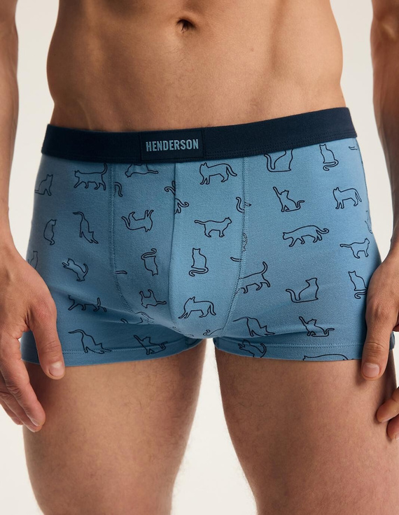 Чоловічі боксерки Henderson 46100 Fur2 2-Pack бавовняні з широкою гумкою та логотипом